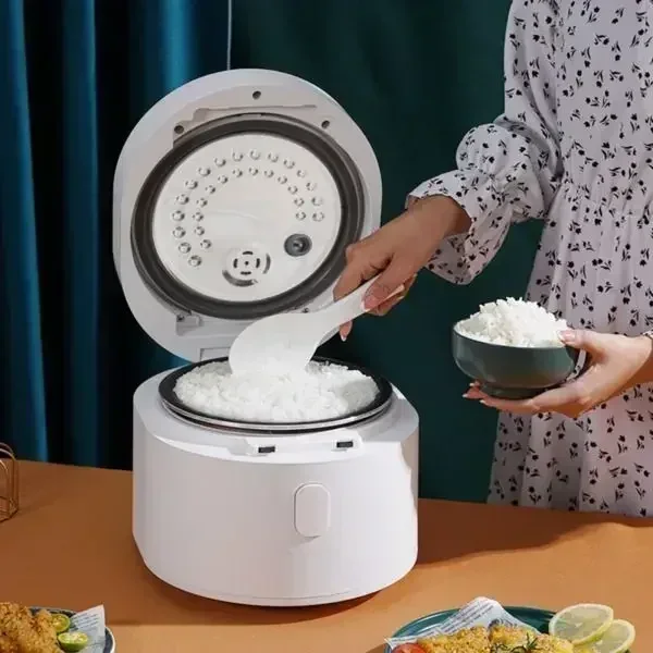 110v smart Rice cooker 3L rice - đánh giá và giá Kitchen Appliances Canada